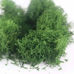 Buy 🌟 12 Pack: Scenery Plants by ArtMinds™ 😀 5 Buy 🌟 12 Pack: Scenery Plants by ArtMinds™ 😀 -Artminds Sales Store 10260227 3 1