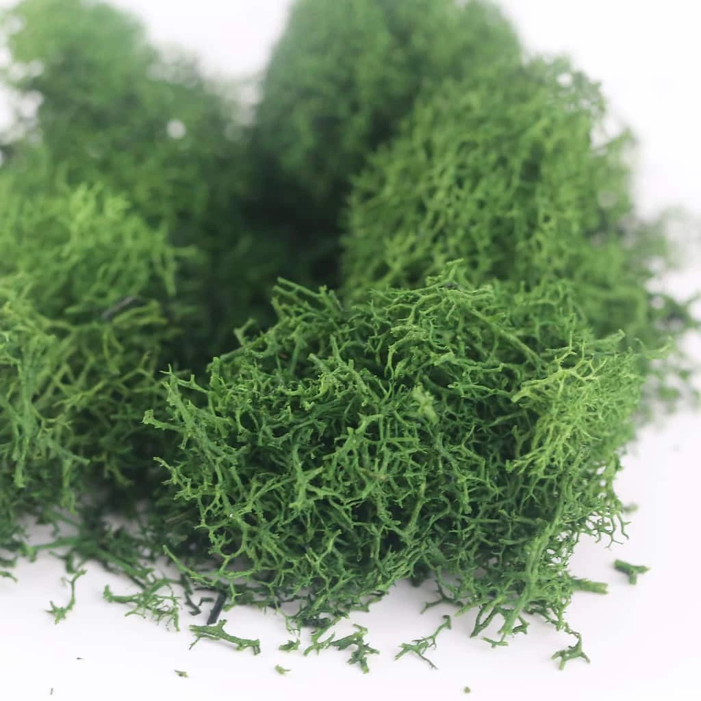 Buy 🌟 12 Pack: Scenery Plants by ArtMinds™ 😀 3 Buy 🌟 12 Pack: Scenery Plants by ArtMinds™ 😀 - Image 3