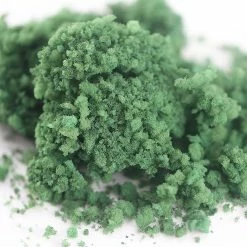 Best Pirce 👍 Green Ground Cover by ArtMinds™ 🔥 -Artminds Sales Store 10272566 3