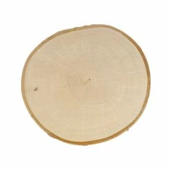 New ๐ 8 Pack: Birch Round by ArtMinds™ ๐