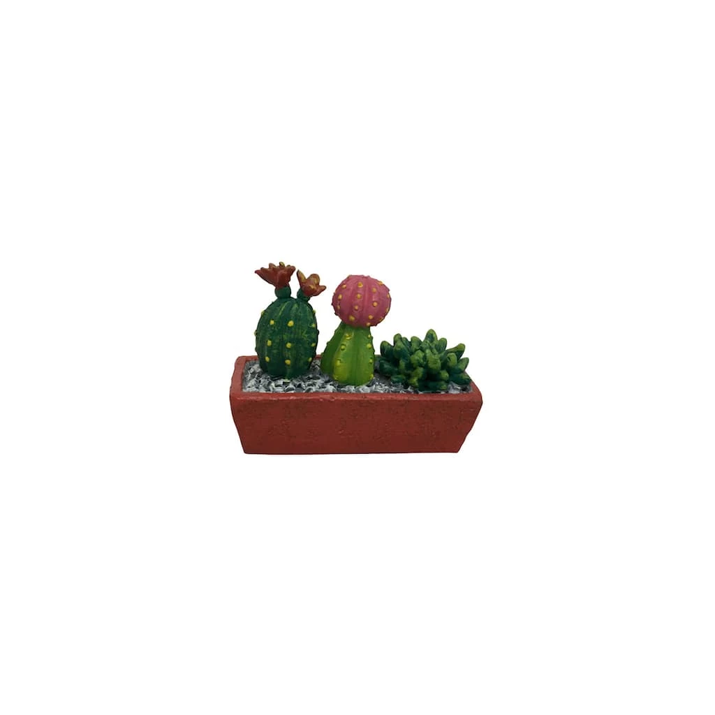Discount ⌛ 12 Pack: Mini Cacti in Window Box by ArtMinds™ 👏 2 Discount ⌛ 12 Pack: Mini Cacti in Window Box by ArtMinds™ 👏 - Image 2