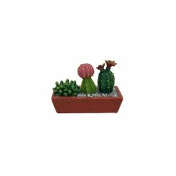 Discount ⌛ 12 Pack: Mini Cacti in Window Box by ArtMinds™ 👏