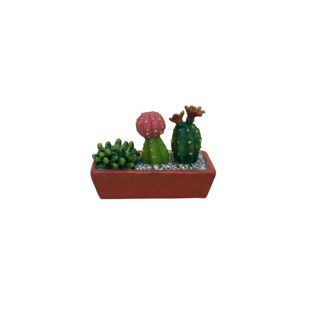 Discount ⌛ 12 Pack: Mini Cacti in Window Box by ArtMinds™ 👏 1 Discount ⌛ 12 Pack: Mini Cacti in Window Box by ArtMinds™ 👏