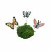 Best reviews of 🤩 Mini Butterflies on Coil with Moss By ArtMinds™ 🤩