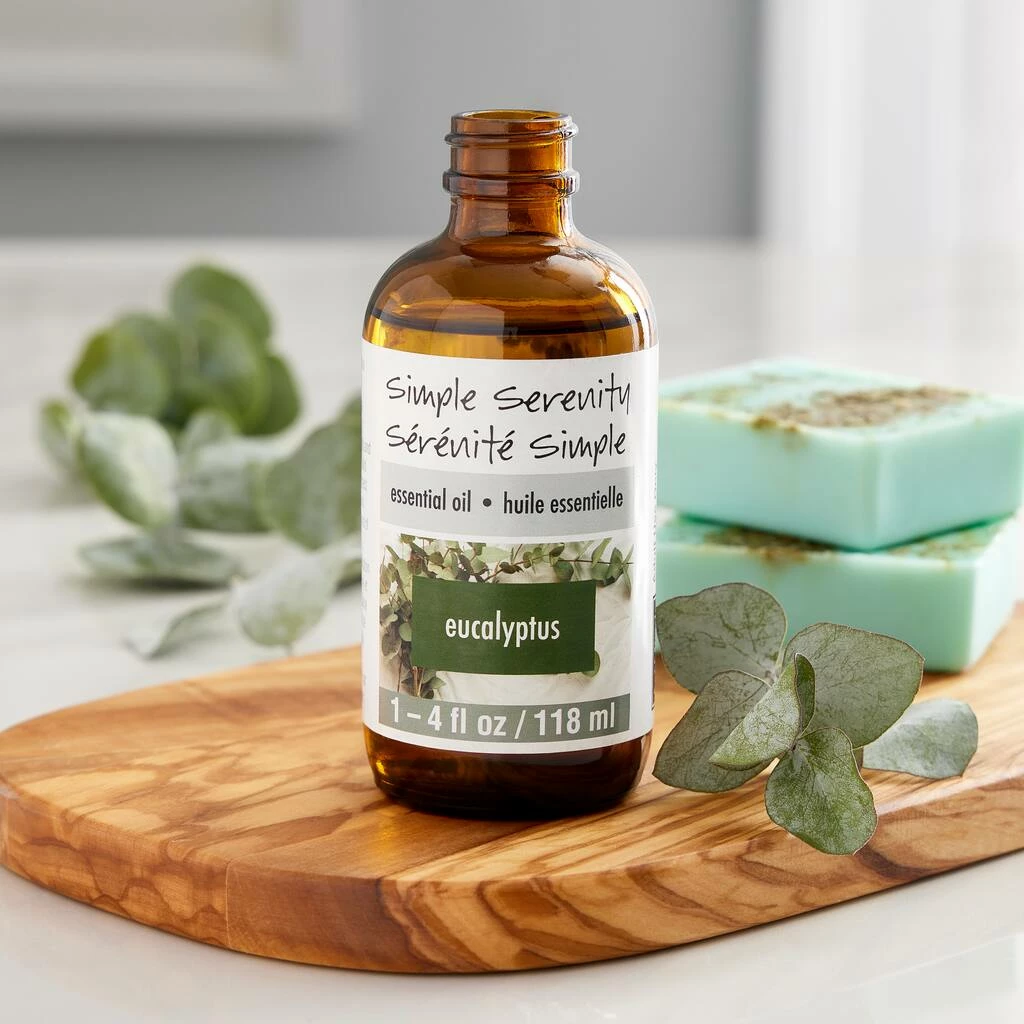 Best reviews of ⌛ 6 Pack: Simple Serenity Eucalyptus Essential Oil by ArtMinds™, 4oz. ✨ 2 Best reviews of ⌛ 6 Pack: Simple Serenity Eucalyptus Essential Oil by ArtMinds™, 4oz. ✨ - Image 2